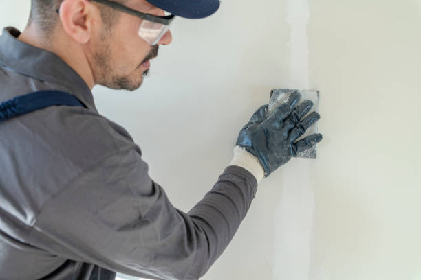 Best Drywall Crack Repair  in Vonore, TN